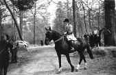 Partie de chasse