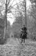 chasse (cliquez pour agrandir)